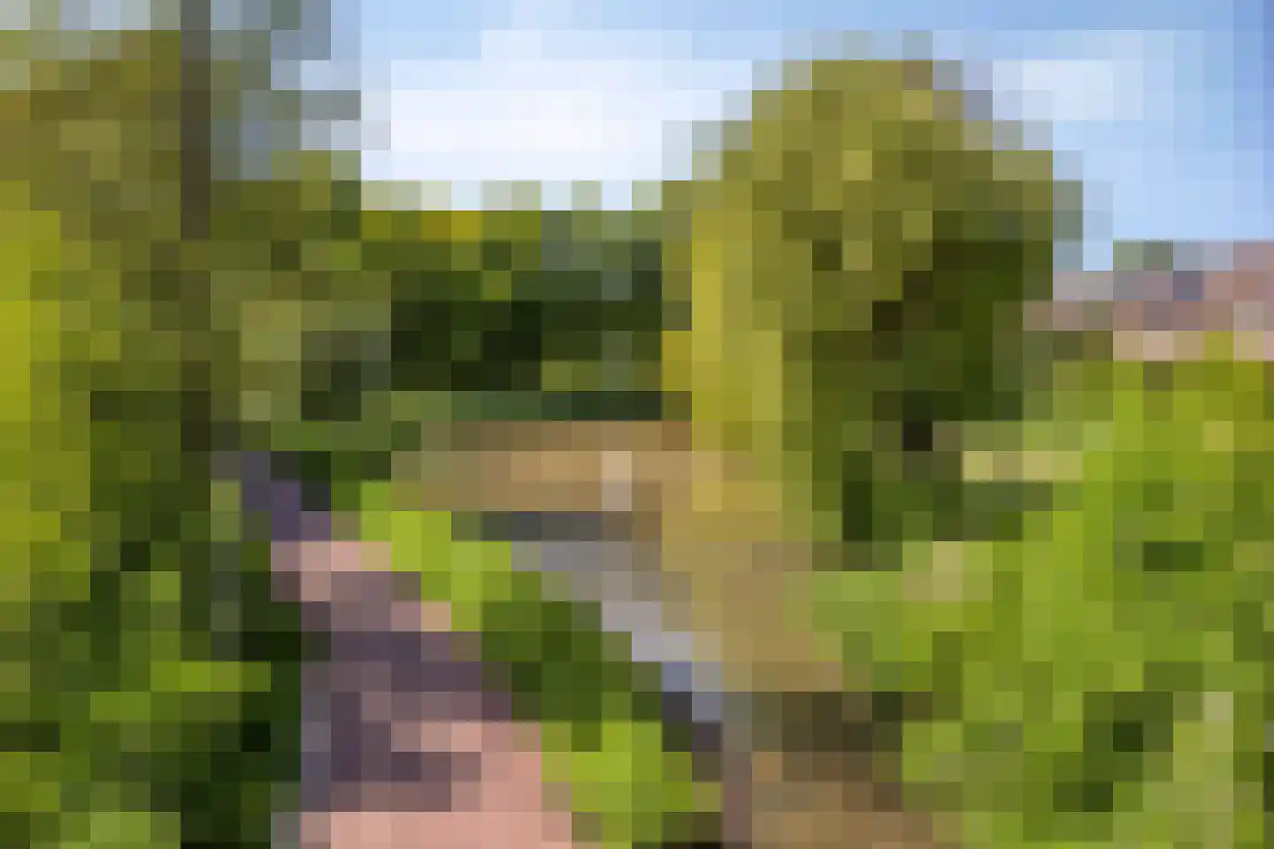 Noordelijke Esweg 10 Hengelo thumbnail 40