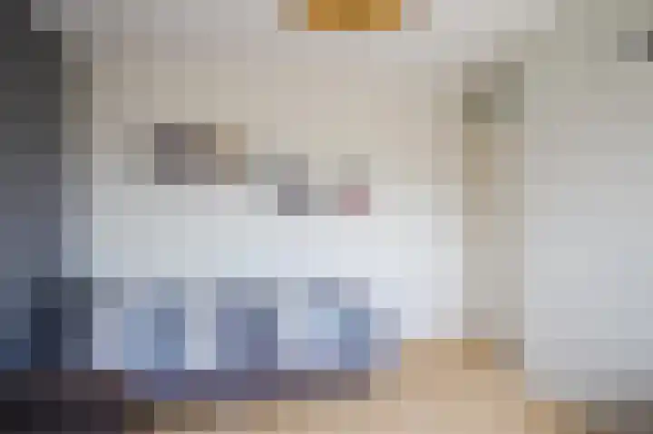 Noordelijke Esweg 124 Hengelo thumbnail 22