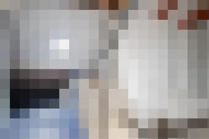 Noordelijke Esweg 124 Hengelo thumbnail 32