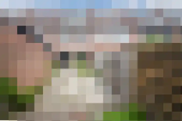Noordelijke Esweg 124 Hengelo thumbnail 38