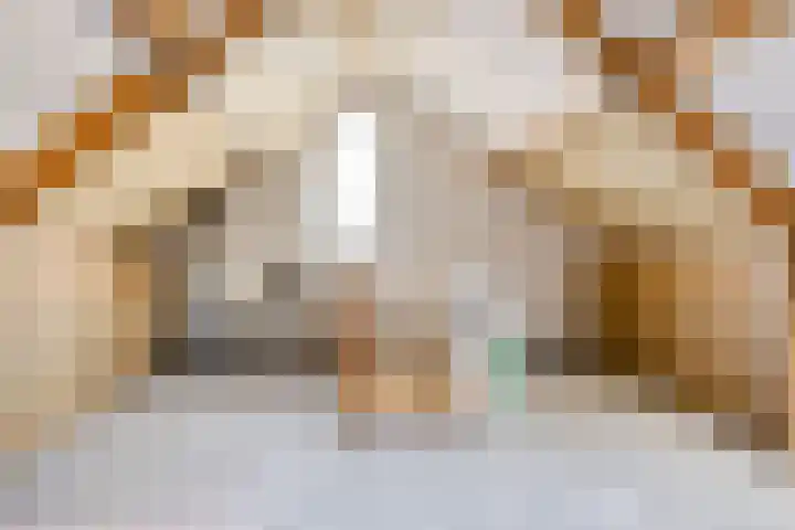 Noordelijke Esweg 146 Hengelo thumbnail 32