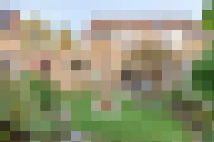 Noordelijke Esweg 146 Hengelo thumbnail 36