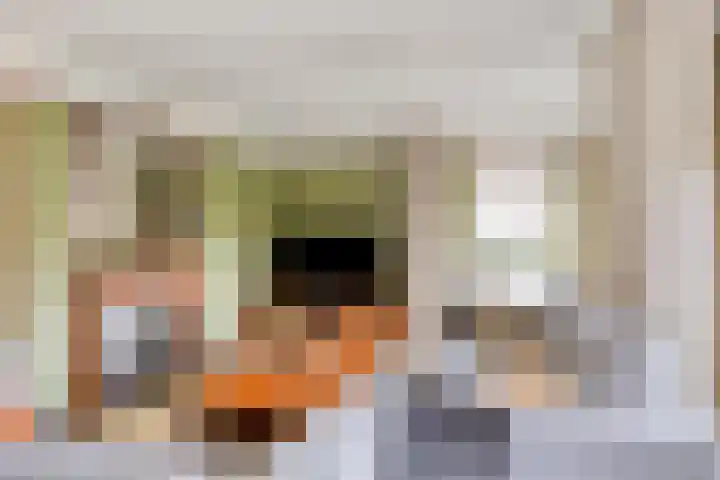 Noordelijke Esweg 146 Hengelo thumbnail 7