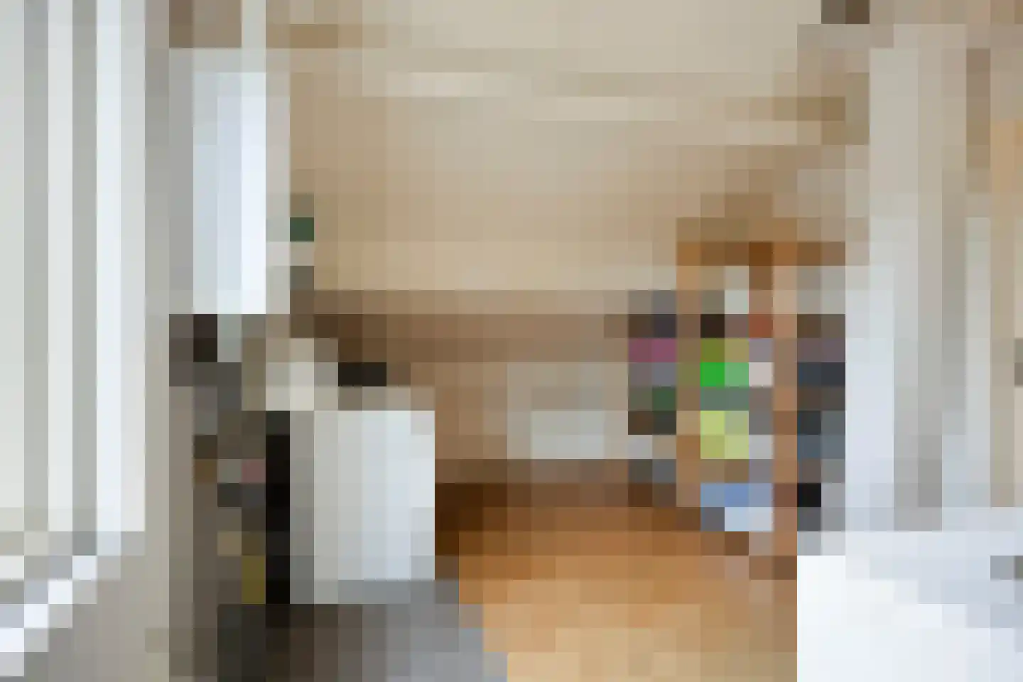 Noordelijke Esweg 194 Hengelo thumbnail 31