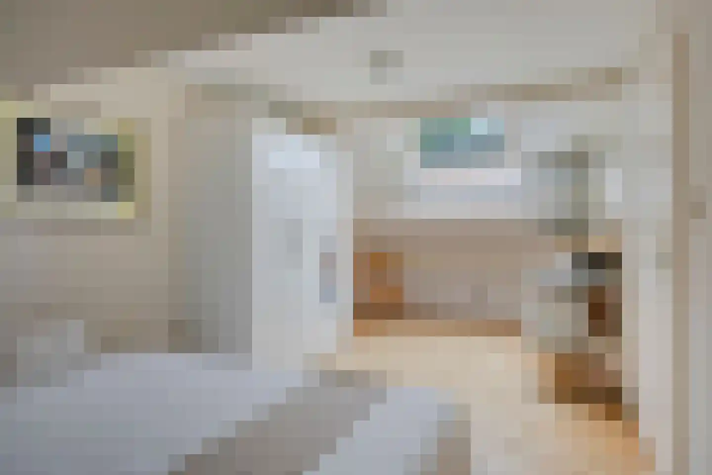 Noordelijke Esweg 194 Hengelo thumbnail 33