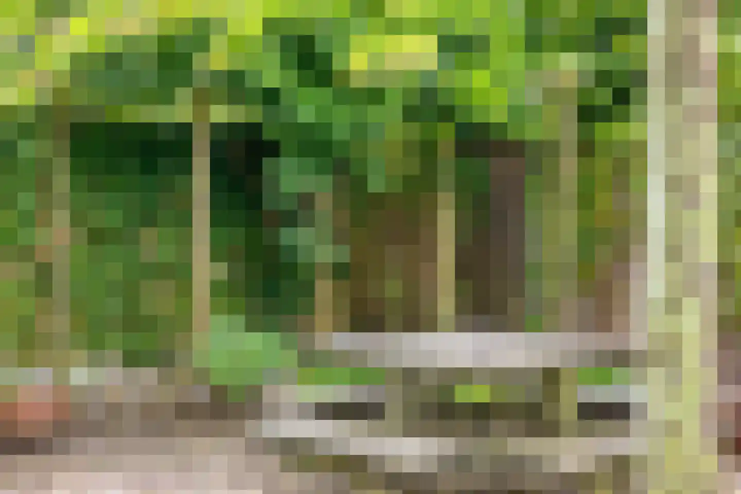 Noordelijke Esweg 194 Hengelo thumbnail 42
