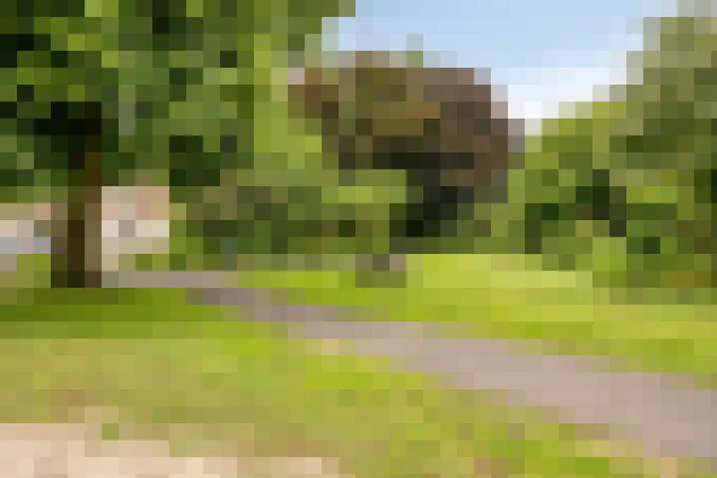 Noordelijke Esweg 194 Hengelo thumbnail 51