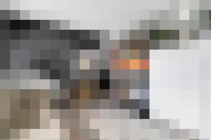 Noordelijke Hoofddijk 10 Nijverdal thumbnail 13