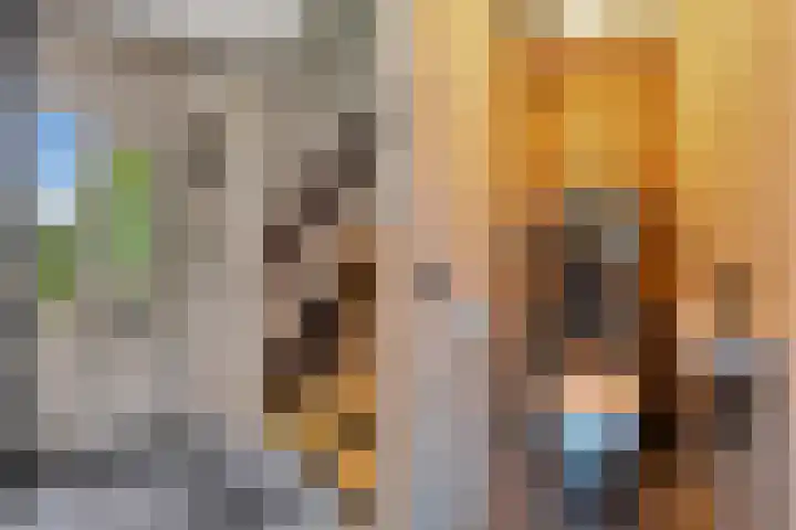 Noordelijke Hoofddijk 10 Nijverdal thumbnail 15