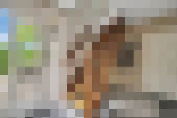 Noordelijke Hoofddijk 10 Nijverdal thumbnail 16