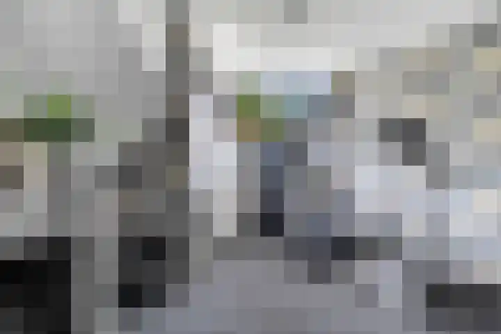 Noordelijke Hoofddijk 10 Nijverdal thumbnail 22