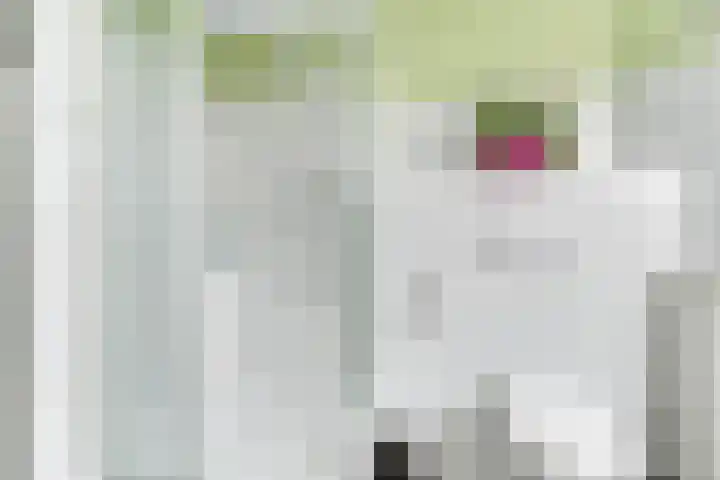 Noordelijke Hoofddijk 10 Nijverdal thumbnail 24
