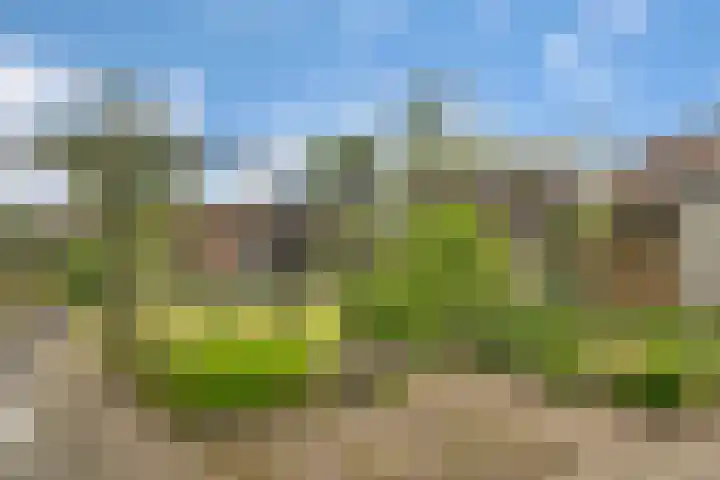 Noordelijke Hoofddijk 10 Nijverdal thumbnail 25