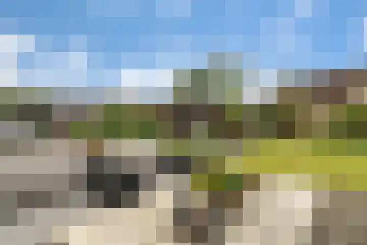 Noordelijke Hoofddijk 10 Nijverdal thumbnail 26