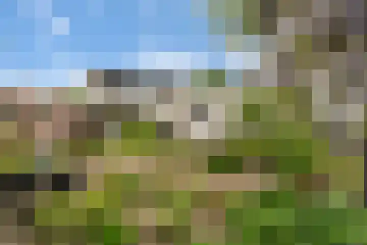 Noordelijke Hoofddijk 10 Nijverdal thumbnail 27