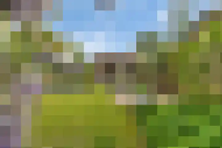 Noordelijke Hoofddijk 10 Nijverdal thumbnail 28