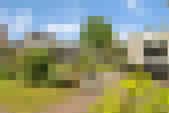 Noordelijke Hoofddijk 10 Nijverdal thumbnail 29
