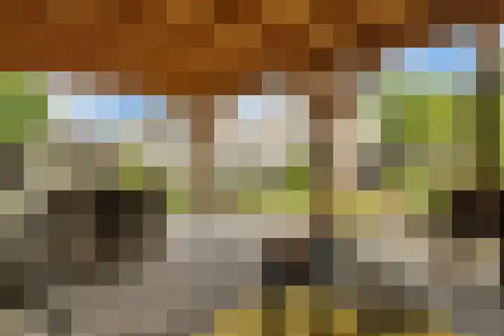 Noordelijke Hoofddijk 10 Nijverdal thumbnail 30