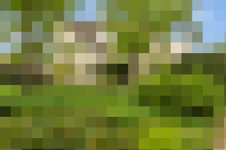 Noordelijke Hoofddijk 10 Nijverdal thumbnail 34