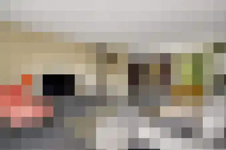 Noordelijke Hoofddijk 10 Nijverdal thumbnail 5