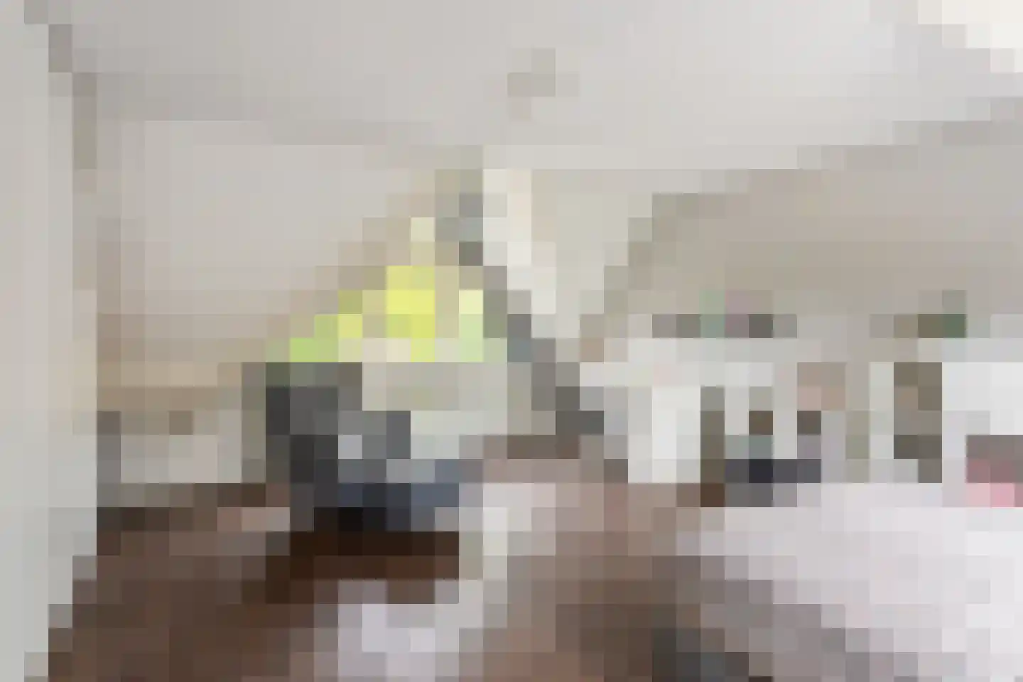 Noordelijke Hoofddijk 4 Nijverdal thumbnail 10