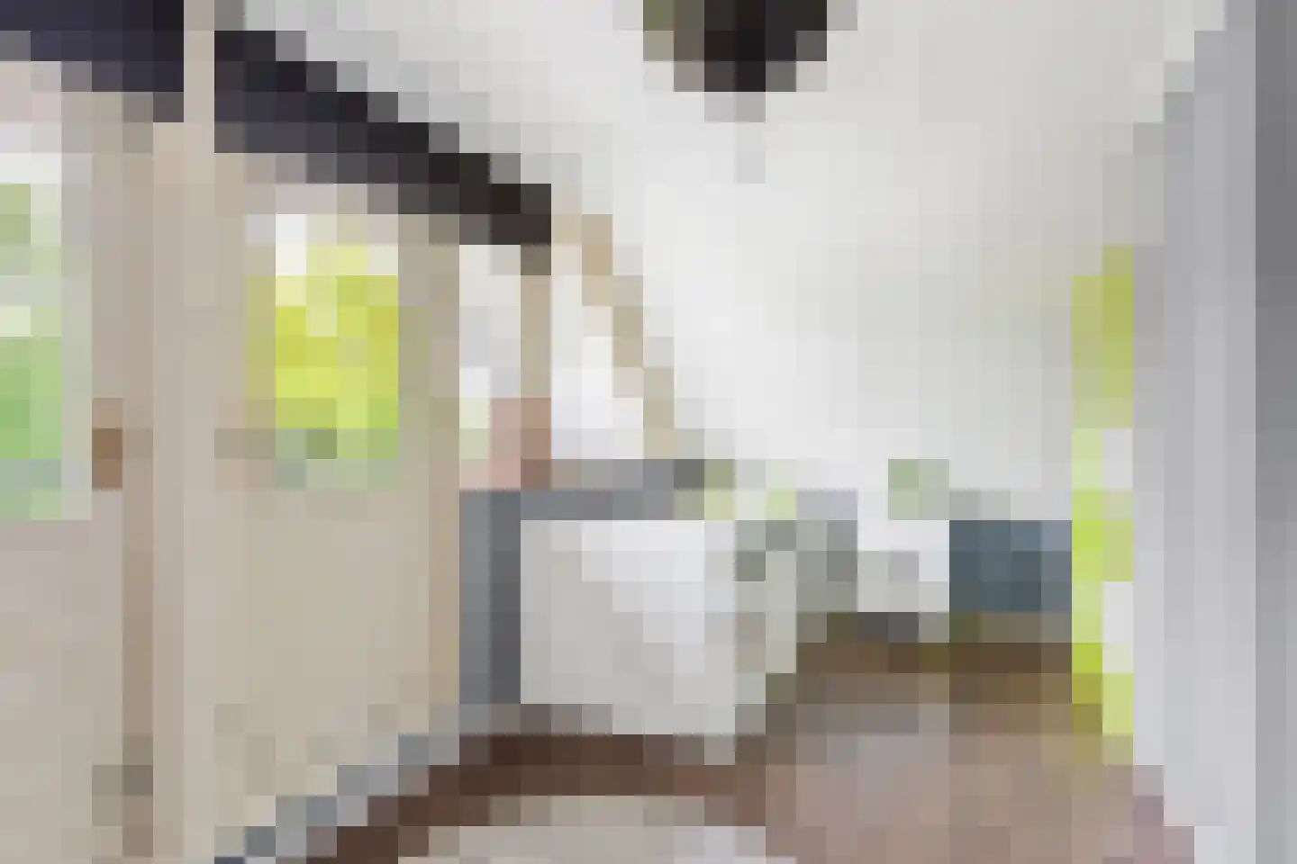 Noordelijke Hoofddijk 4 Nijverdal thumbnail 11