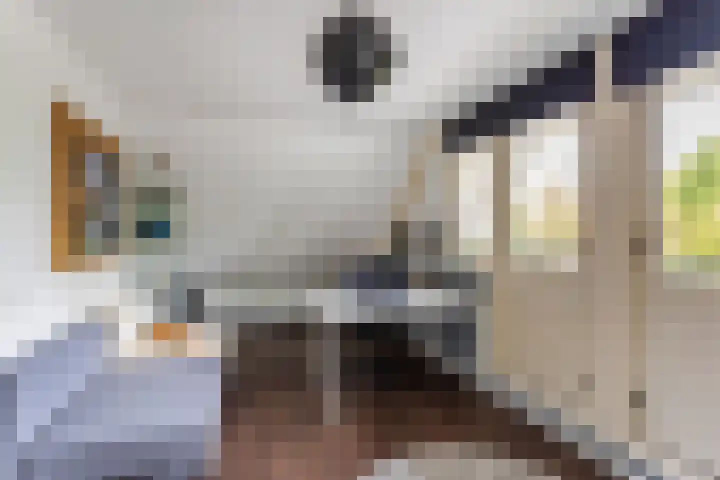 Noordelijke Hoofddijk 4 Nijverdal thumbnail 12