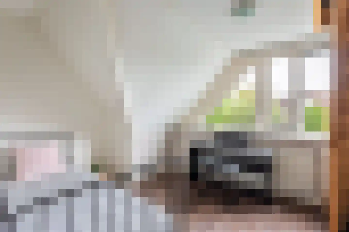 Noordelijke Hoofddijk 4 Nijverdal thumbnail 14