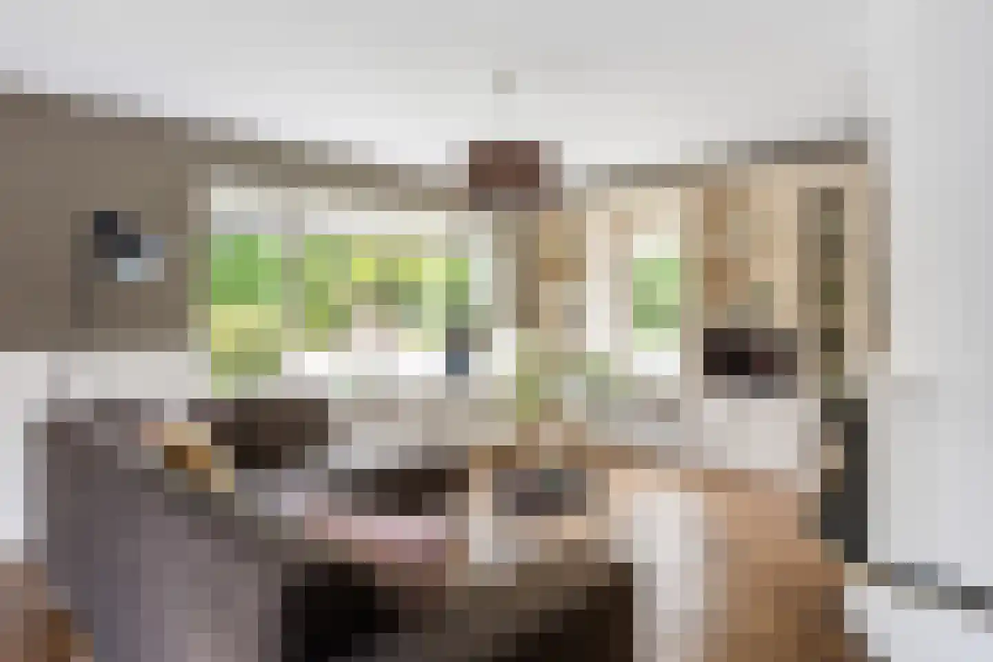 Noordelijke Hoofddijk 4 Nijverdal thumbnail 4