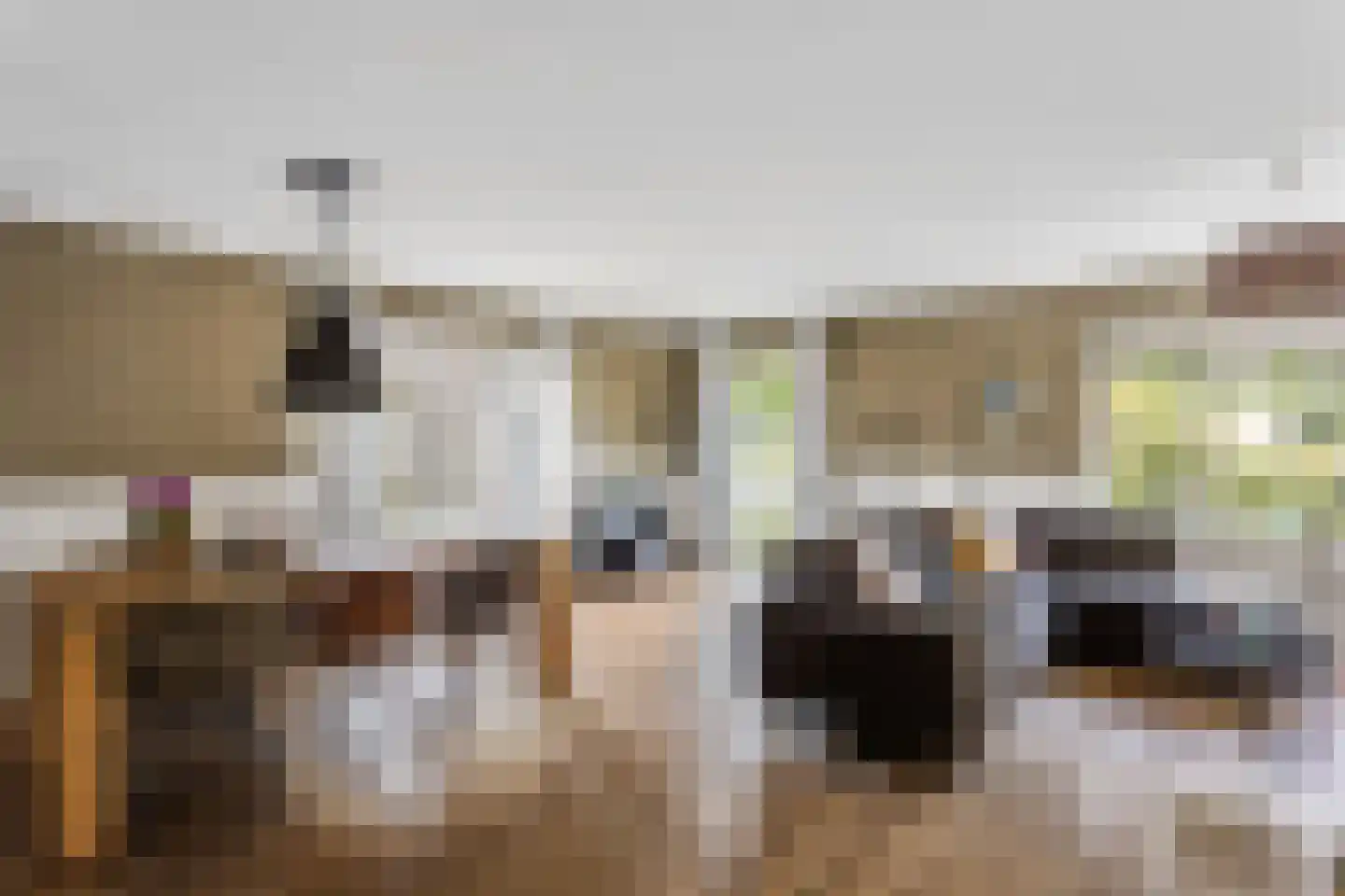 Noordelijke Hoofddijk 4 Nijverdal thumbnail 5