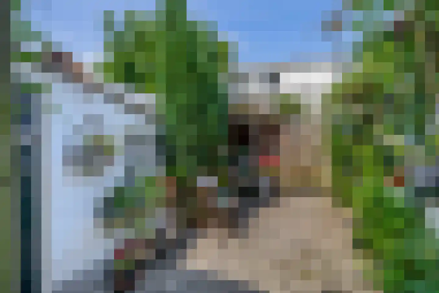 Noordelijke Parallelweg 106 Arnhem thumbnail 24