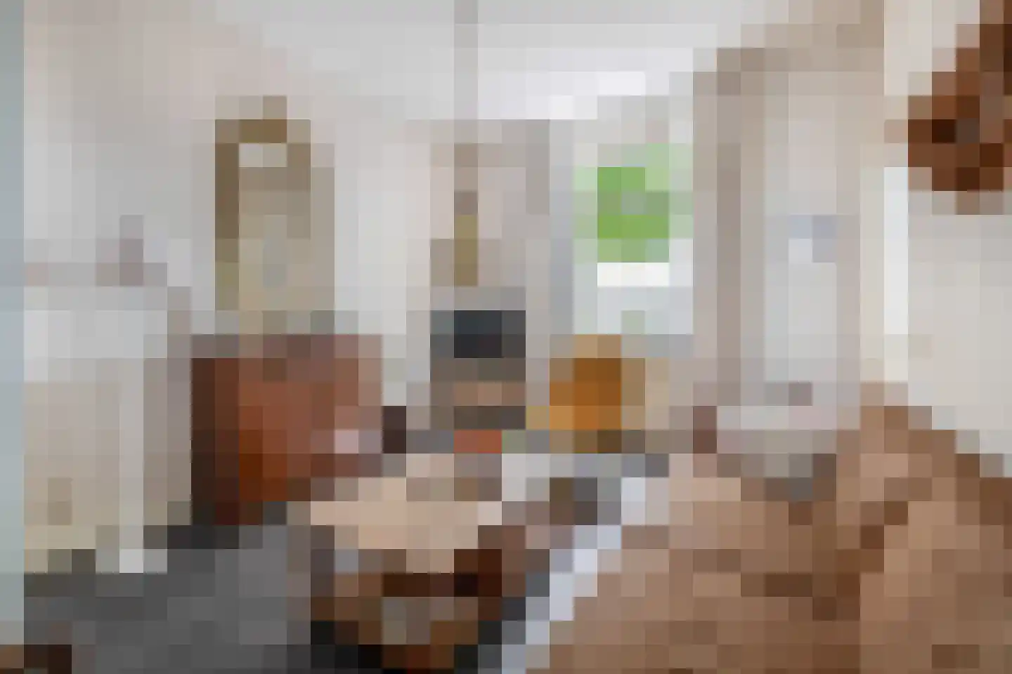 Noordelijke Parallelweg 106 Arnhem thumbnail 5