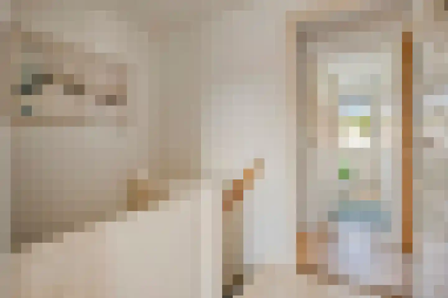 Noordelijke Parallelweg 135 Arnhem thumbnail 16