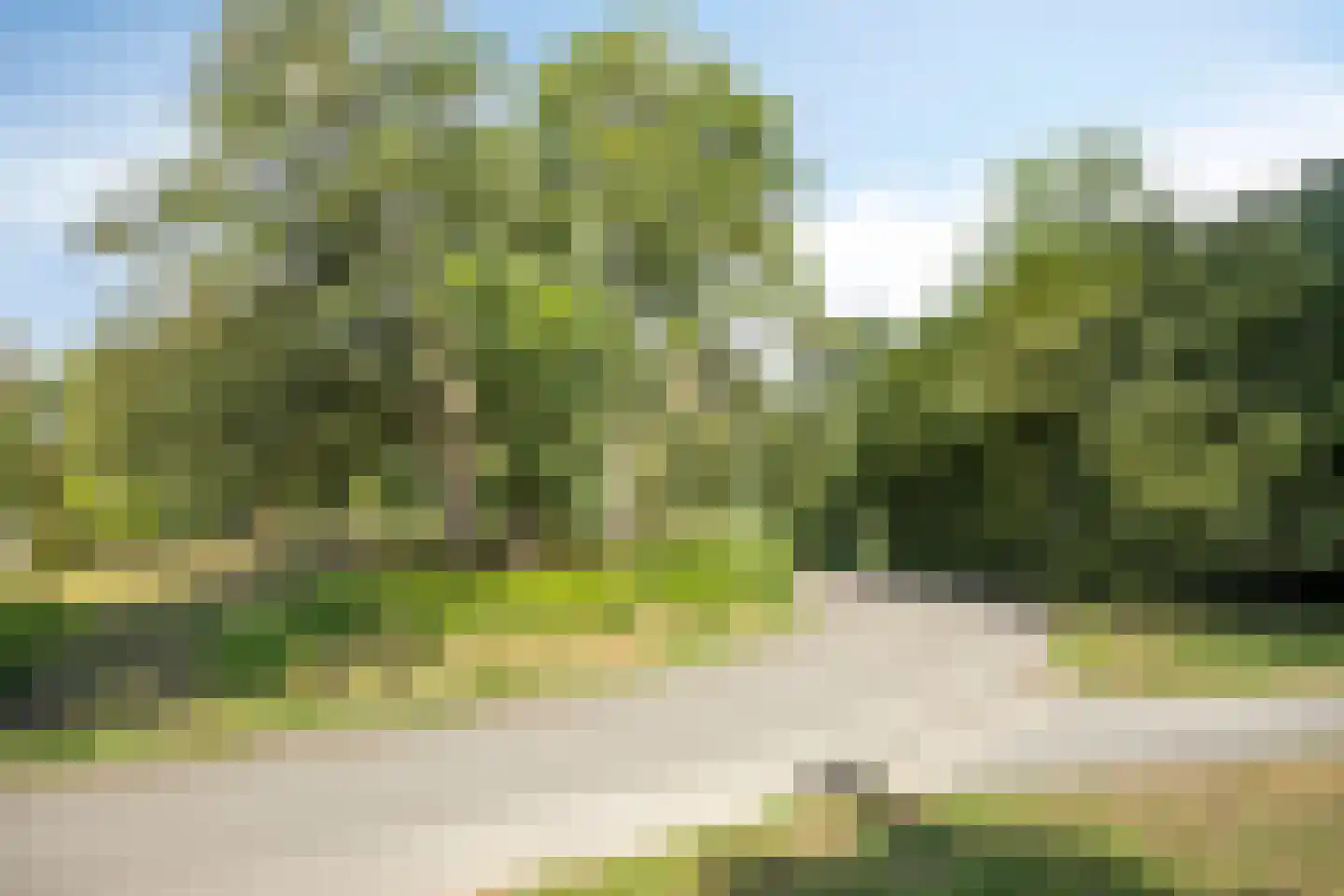 Noordelijke Parallelweg 135 Arnhem thumbnail 23
