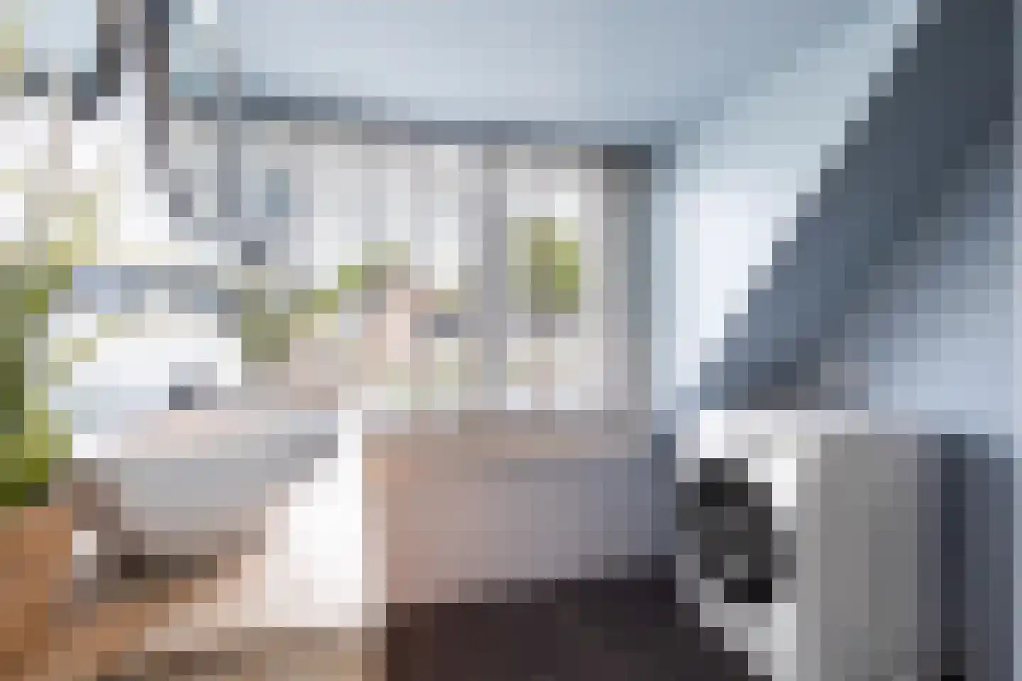 Noordelijke Parallelweg 64 Arnhem thumbnail 29