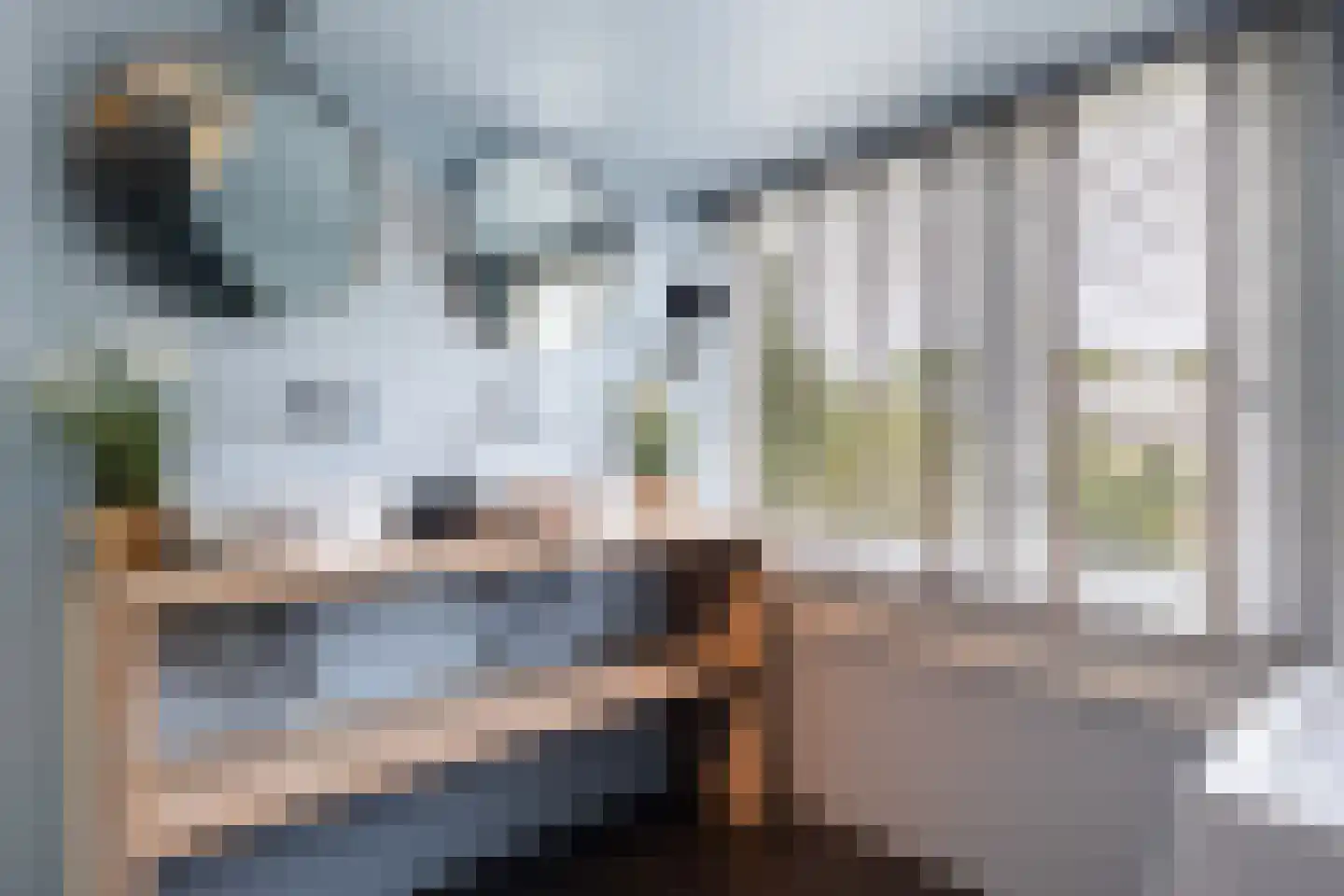 Noordelijke Parallelweg 64 Arnhem thumbnail 30