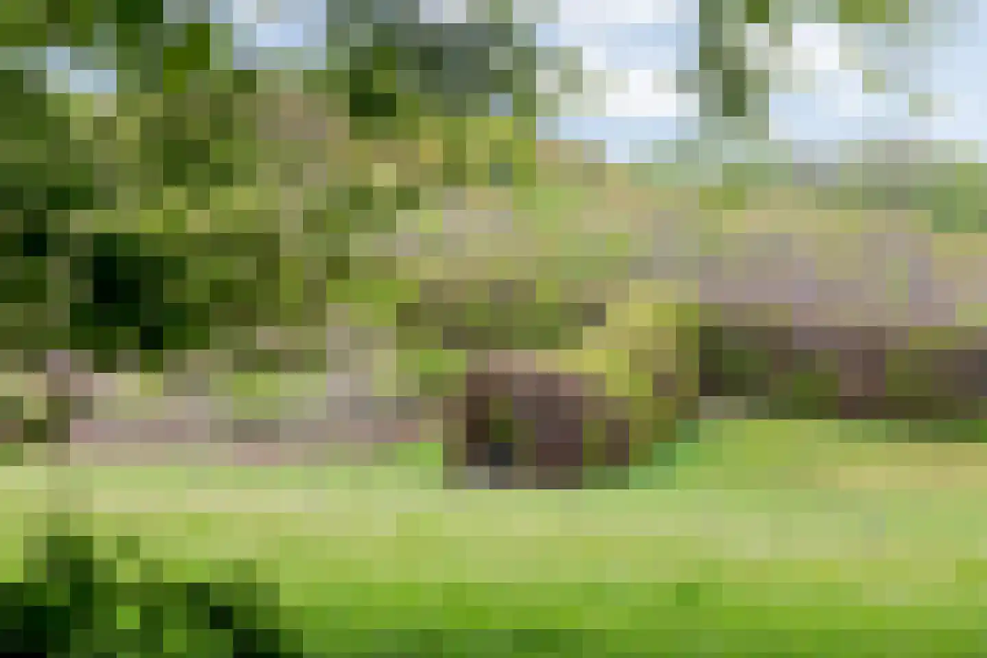 Noordelijke Parallelweg 64 Arnhem thumbnail 40