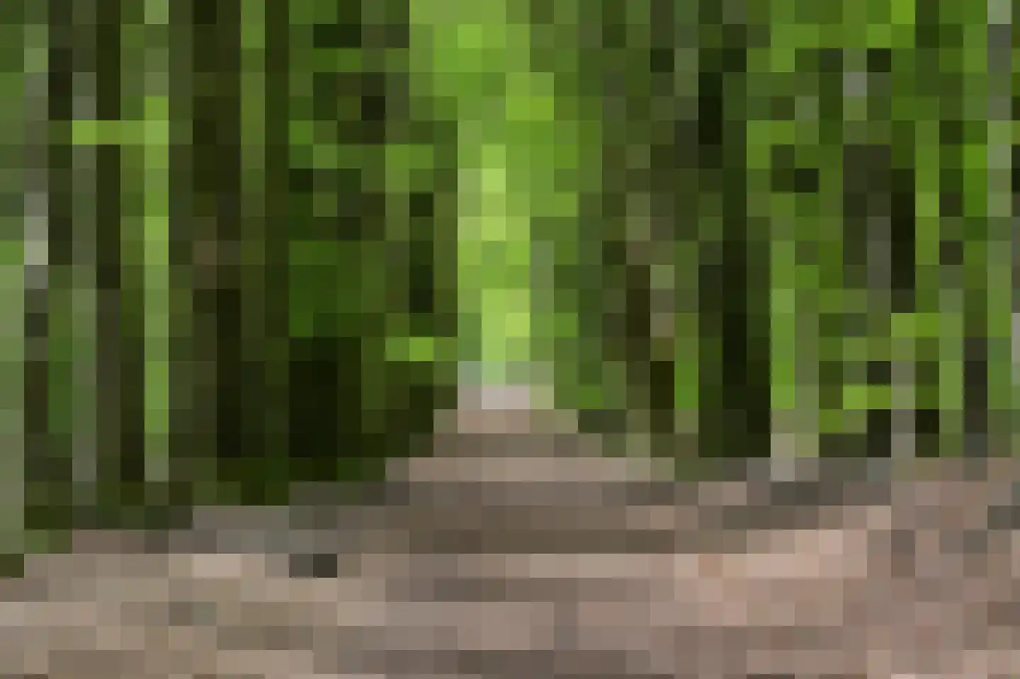 Noordelijke Parallelweg 64 Arnhem thumbnail 41