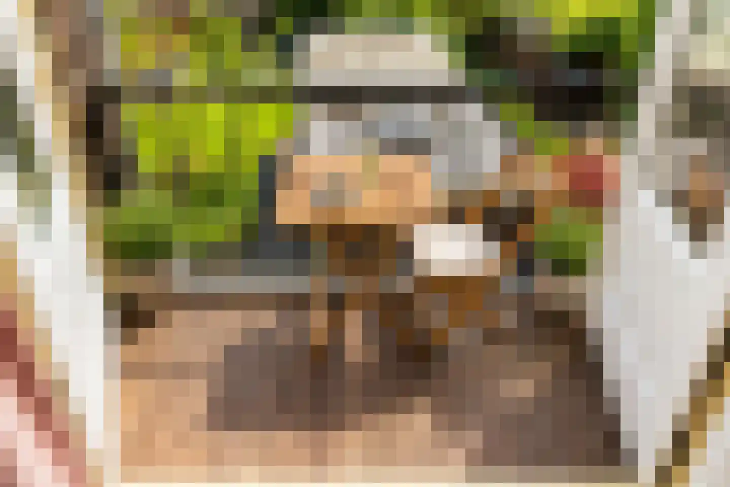 Noordelijke Parallelweg 64 Arnhem thumbnail 5