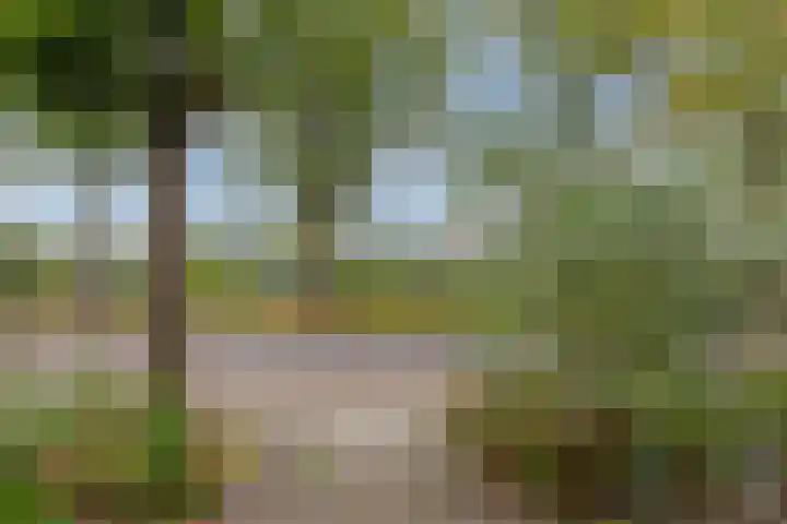 Noordelijke Parallelweg 74 Arnhem thumbnail 18