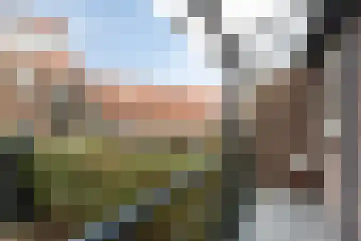 Noordelijke Parallelweg 80 Arnhem thumbnail 8