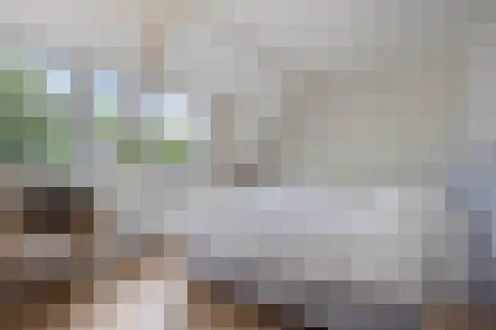 Noordelijke Parallelweg 85 Arnhem thumbnail 17