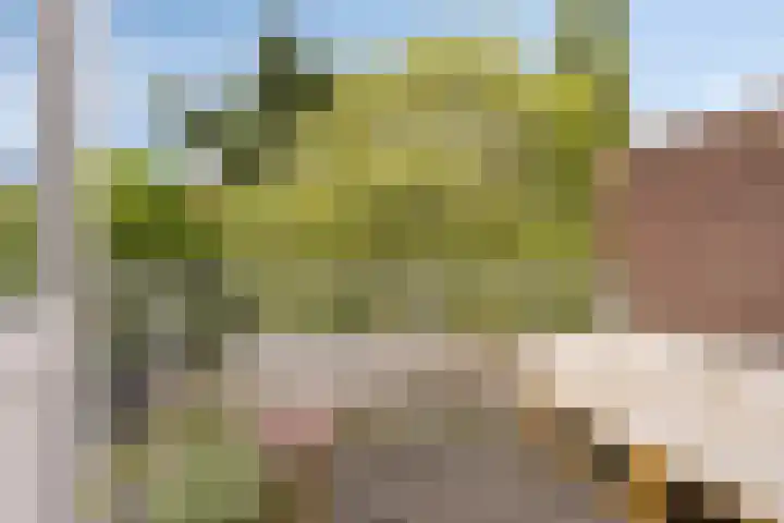 Noordelijke Parallelweg 85 Arnhem thumbnail 22