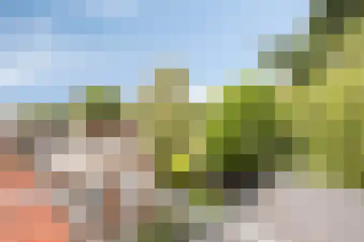 Noordelijke Parallelweg 85 Arnhem thumbnail 23