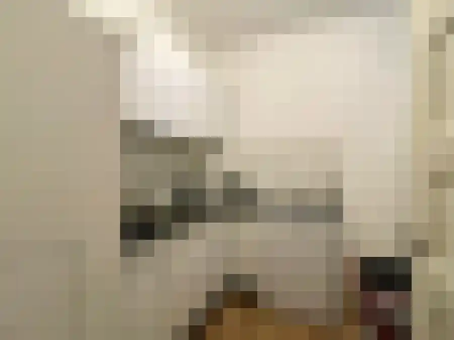 Noordelijke Parallelweg Arnhem thumbnail 6