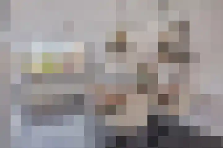 Noordeloosstraat 73 Zoetermeer thumbnail 13