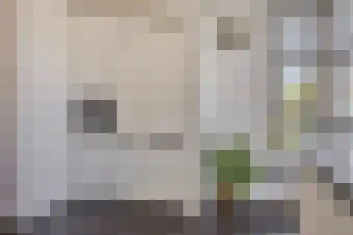 Noordeloosstraat 73 Zoetermeer thumbnail 16