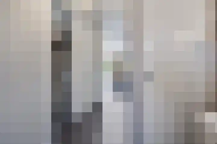 Noordeloosstraat 73 Zoetermeer thumbnail 18