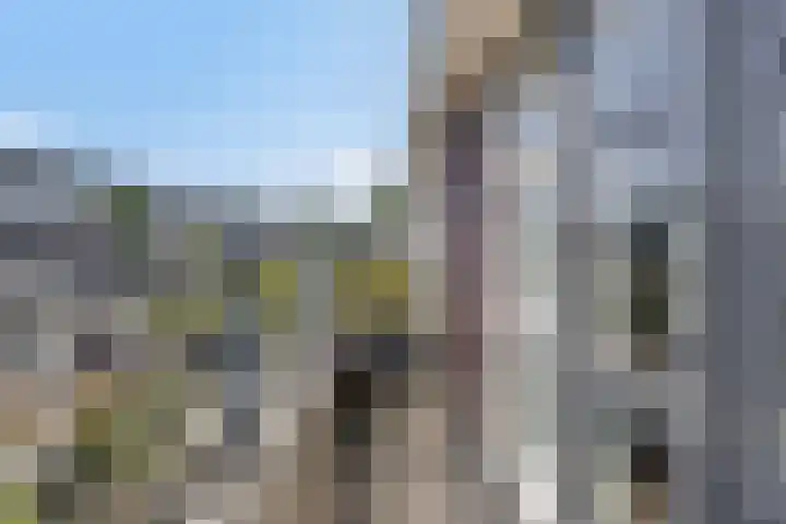 Noordeloosstraat 73 Zoetermeer thumbnail 36