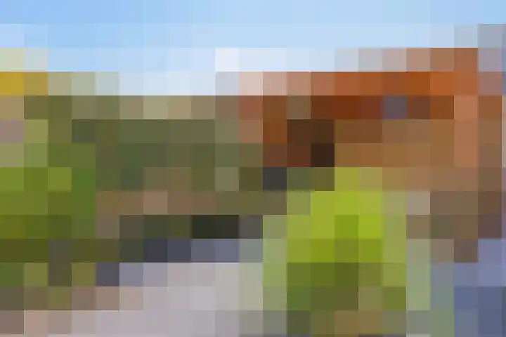 Noordeloosstraat 73 Zoetermeer thumbnail 43